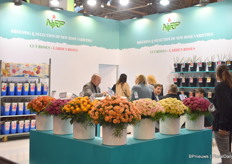 Alessandro Ghione of NIRP talking with a visitor.